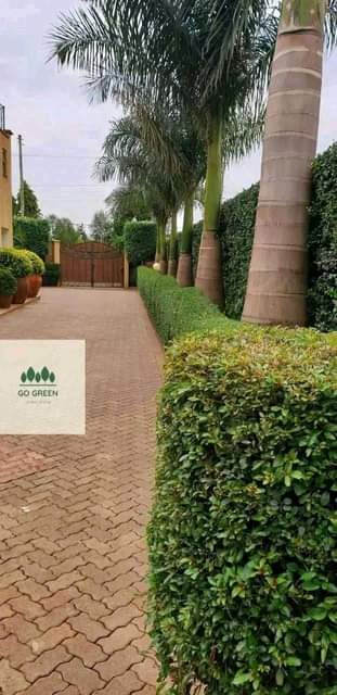 landscaping