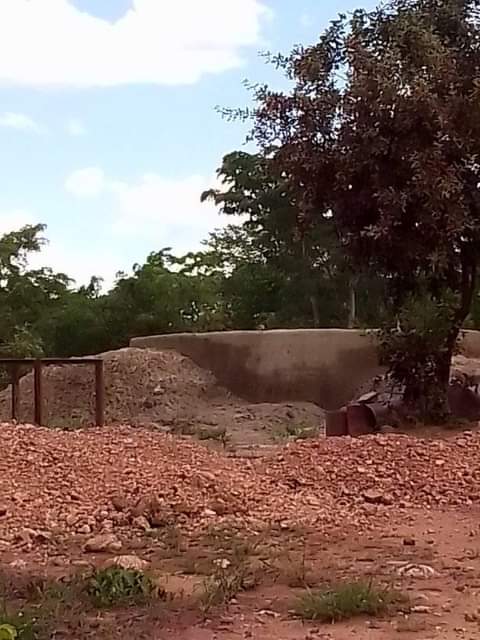 gold detector