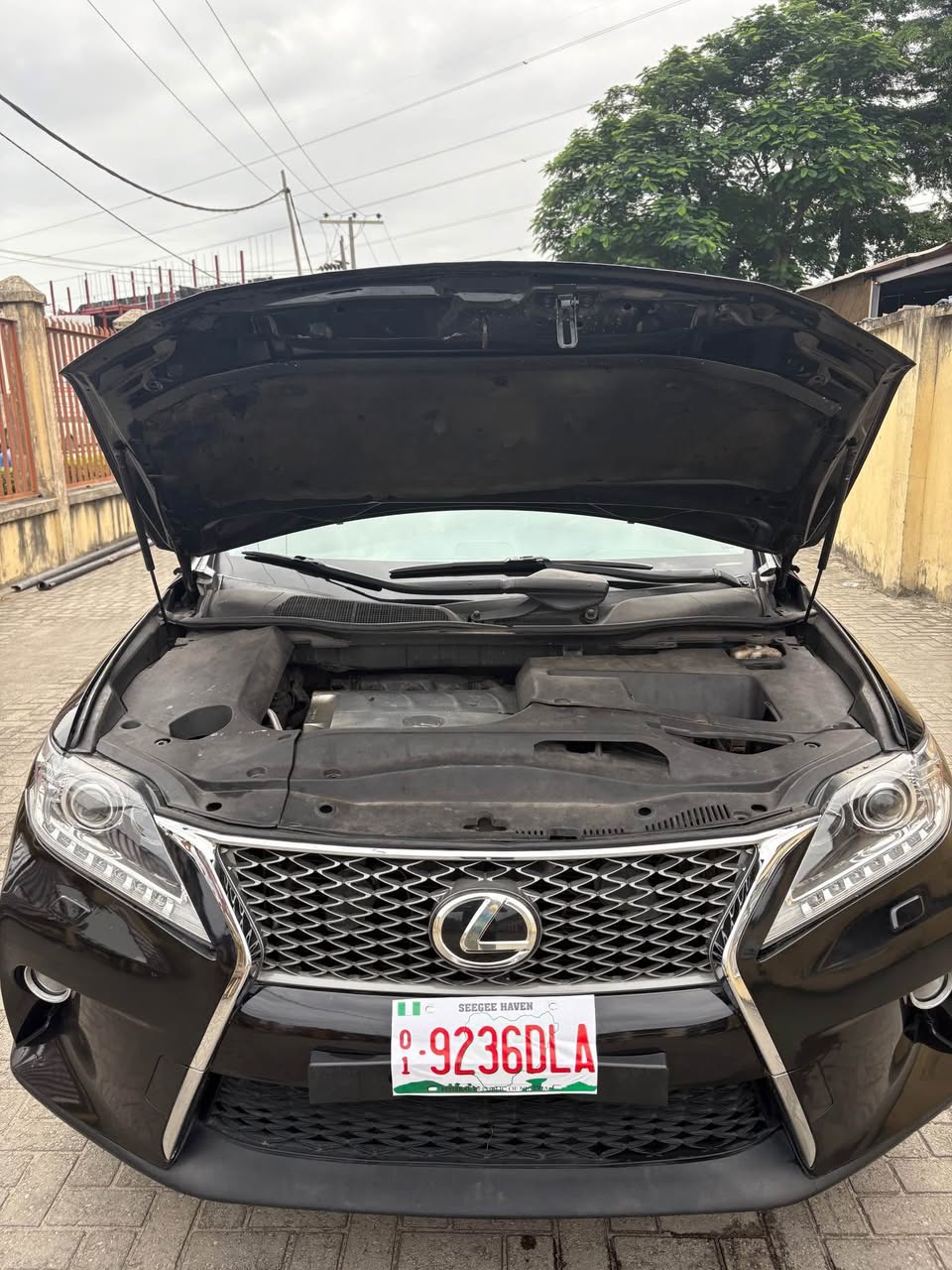 A picture of 2010 Lexus Rx 350 Direct Owner 14.5M