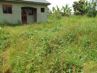 A picture of DEAL YABUSUBUZU Plots on quick sale Installments allowed Bombo kiyana