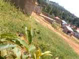 A picture of Entebbe express way