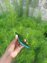 infinix hot 10i