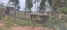 A picture of Shell house for sale