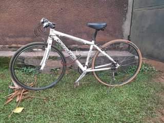 A picture of Spot bike