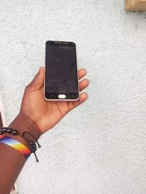 A picture of VIVO