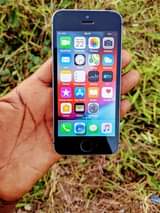 iphones 5s