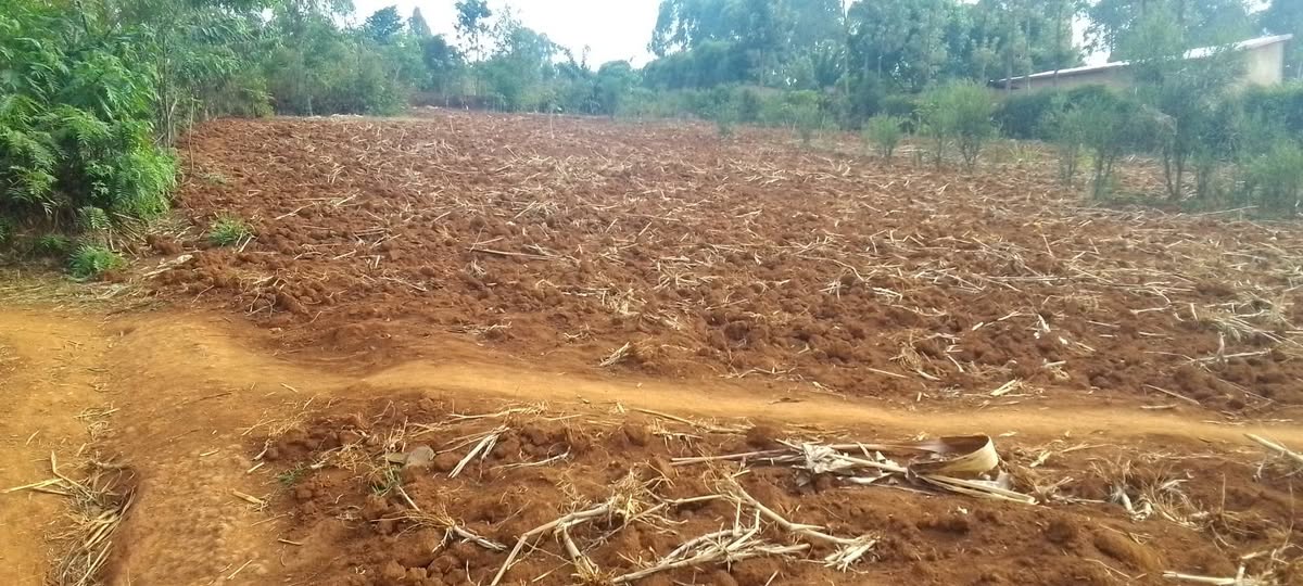land