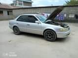 A picture of COROLLA