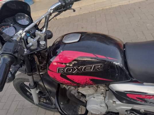 A picture of Boxer 125x