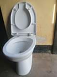 A picture of CHOO YA KUKAA
