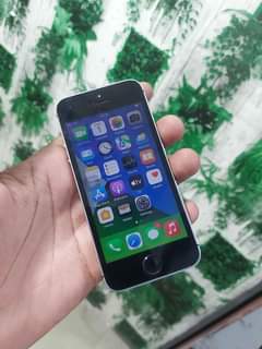 iphones 5s