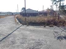 stands