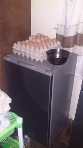 classifieds/fridges