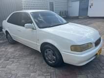 A picture of Colora sprinter