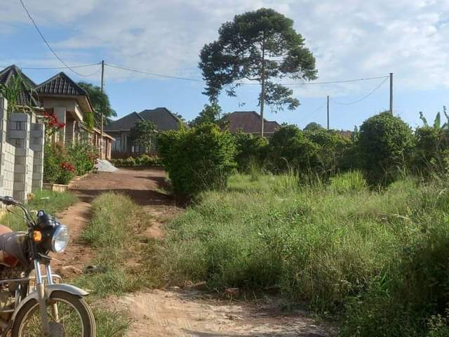 houses matugga