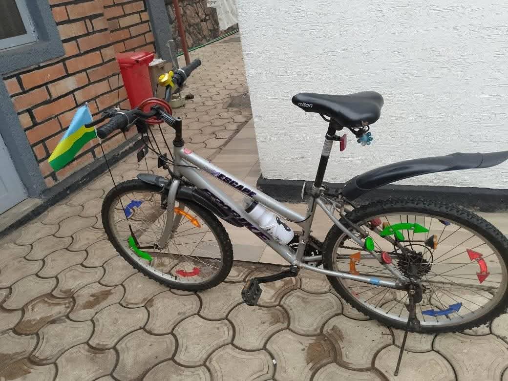 motorbikes