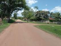stands
