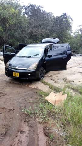 classifieds recent import