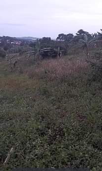 A picture of Quick sale Land 100ft by 100ft Price 30millions