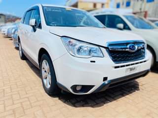 A picture of Subaru Forster