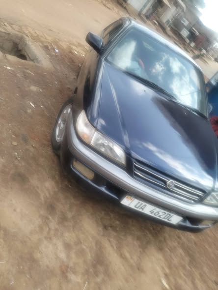 A picture of Toyota premio