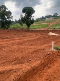 A picture of KIWENDA NABITALO