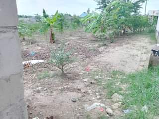 A picture of Tumshukuru Mwenyezi Mungu kwa sababu yeye ni mwema daima. Kiwanja