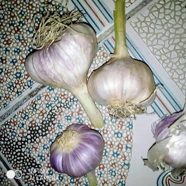 A picture of Nina gunia 5 za vitunguu swaumu tufanye biashara