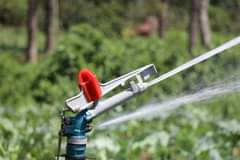 A picture of Irrigation system