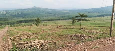 A picture of ESTATE LOC AT WAKISO KAKIRI