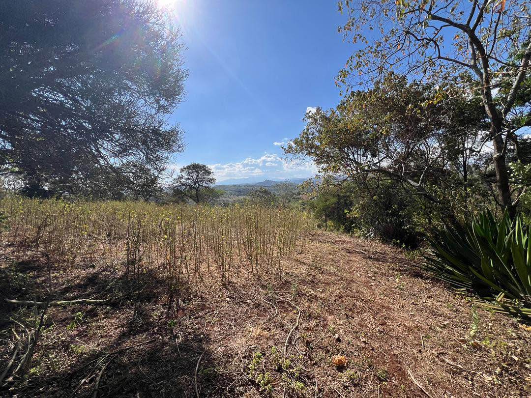 A picture of Property For Sale