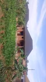 A picture of Rental units on quick sale