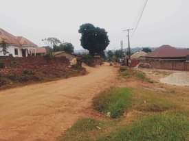 A picture of Land