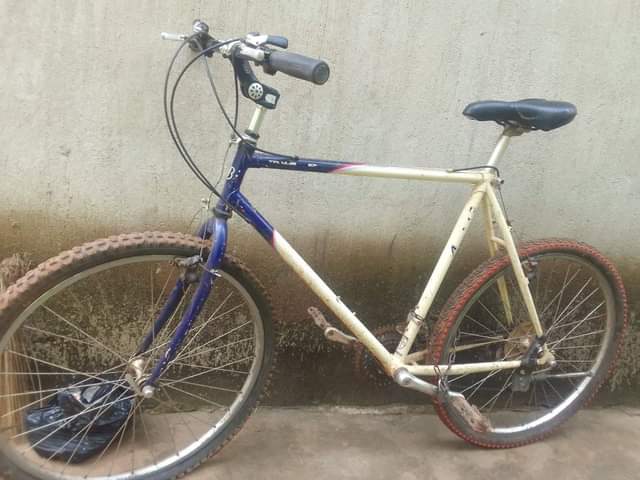A picture of Bike on sale