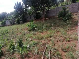 A picture of Plot on market