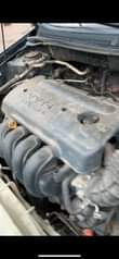 A picture of 2008 Toyota corola pure