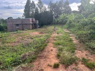 A picture of Titled plot at 50m Kiwenda