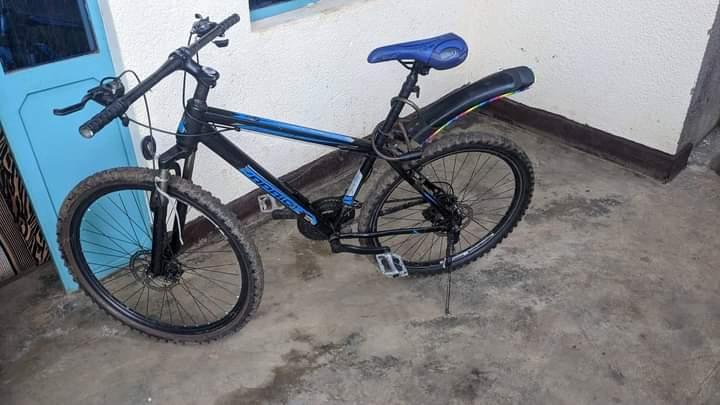 motorbikes