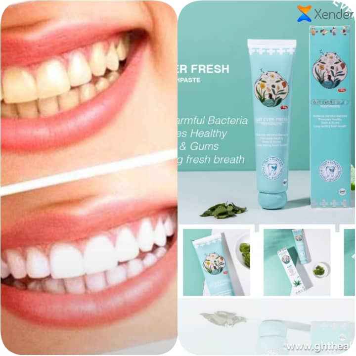 A picture of EVER FRESH TOOTHPASTE