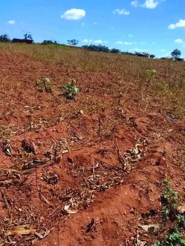 land