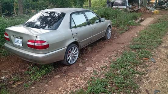HONDA D.