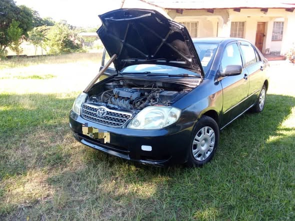 used toyota corolla