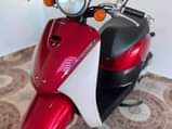 A picture of honda today cc50