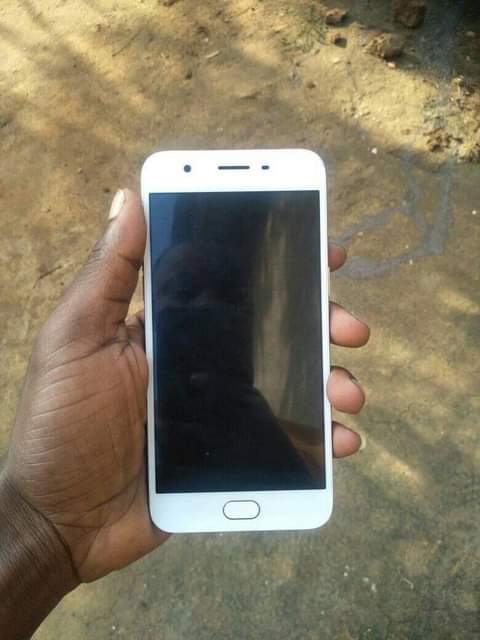 oppo phones