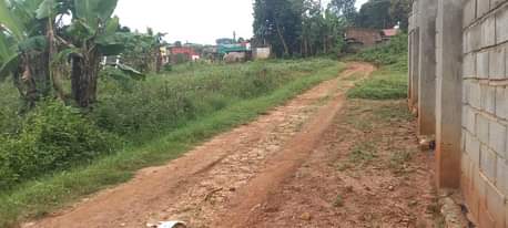 A picture of PLOTS FOR SALE LOCATED WAKISO BUKALANGO