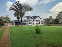 houses runda