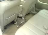 A picture of 2003 Toyota Avalon Xl factory AC first body Accident free