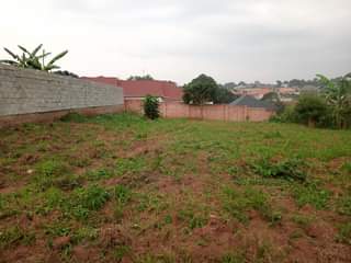 A picture of PRIME PLOT FOR SALE 45m Located at KIIRA KIMWANYI half
