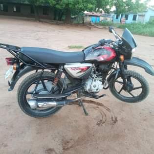A picture of Boxer CC 15 inauzwa aina changamito yoyote kuwasha nakuondoka Bei
