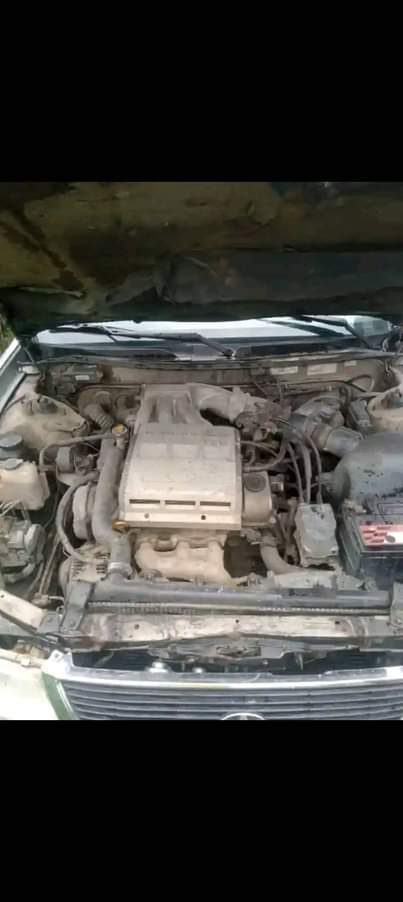 A picture of Dealer market oh Dey sleep oh First body pan First